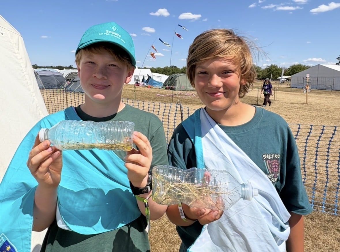 P&P’s Insect Zoo